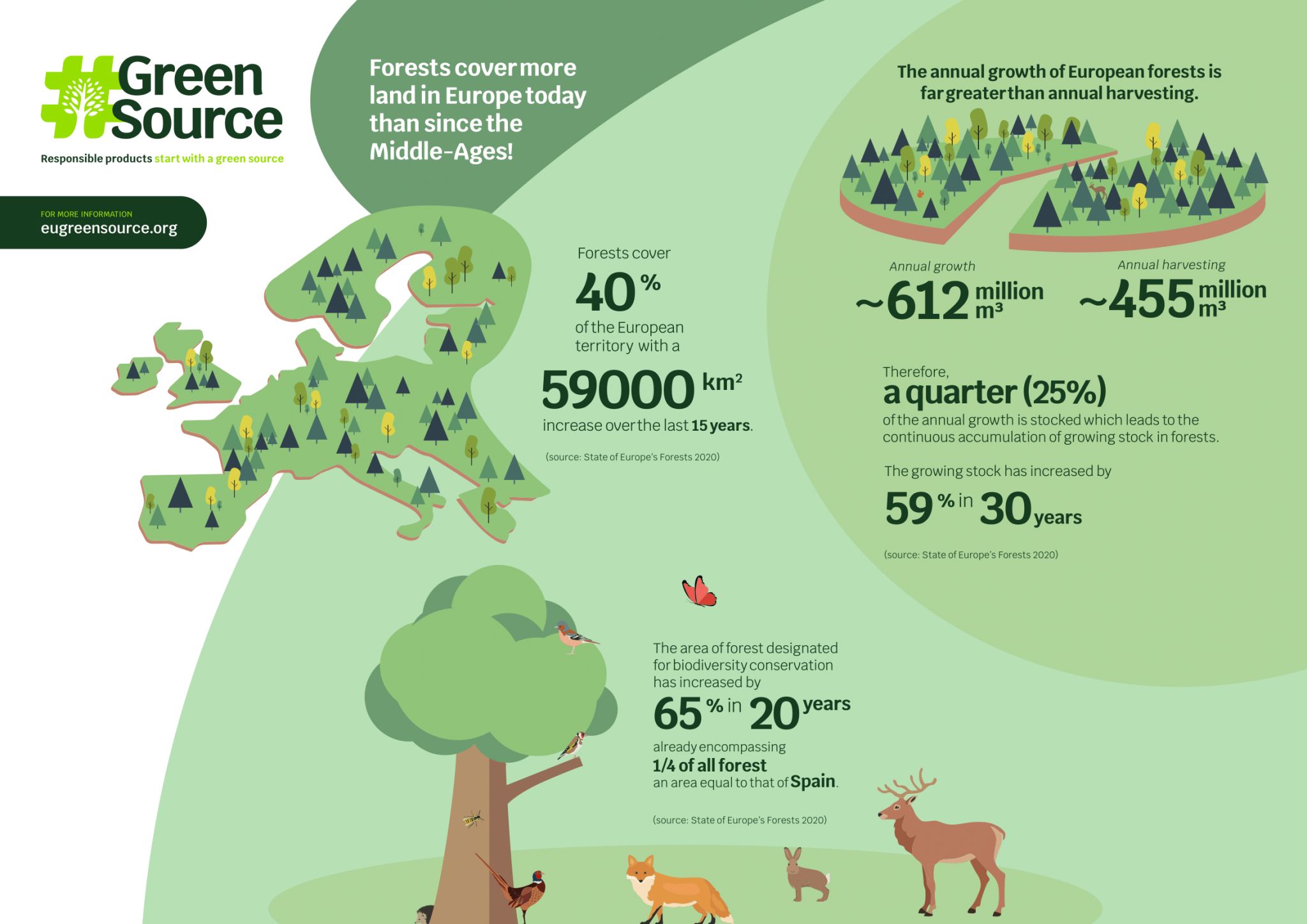 Europees bos groeit, mede dankzij de papierindustrie